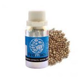 Coriander Oil